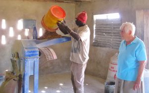 Grinding up the Kapenta (small fish) and rice paddy into flour