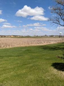 land project