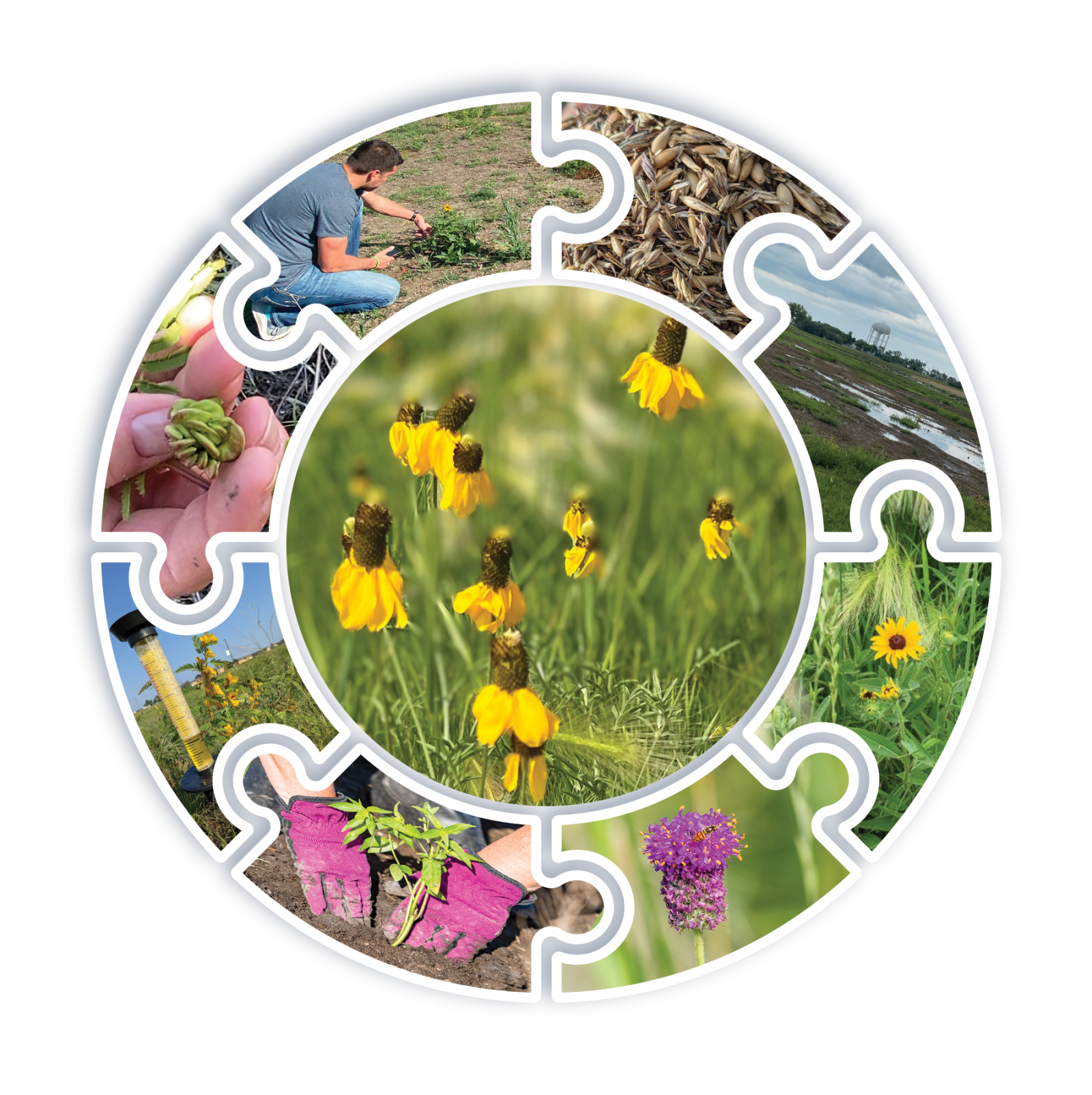 circular photo design