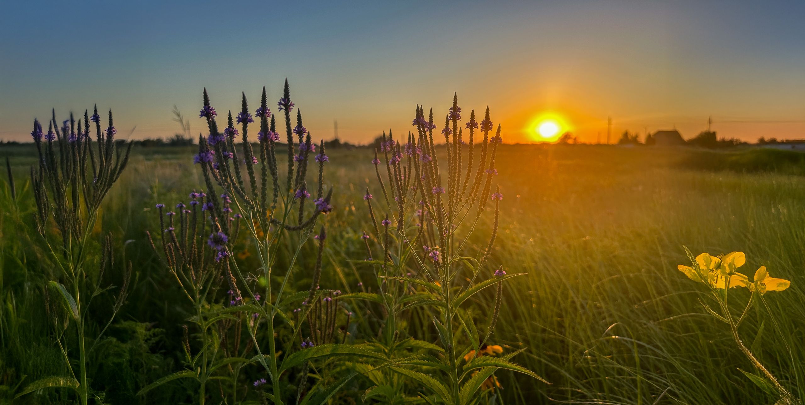 extended landscape photo