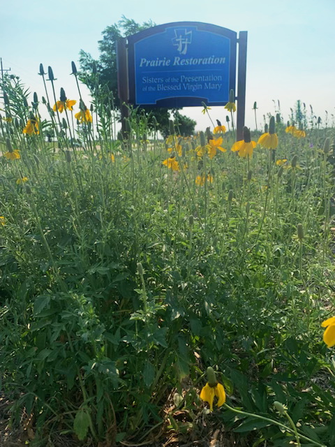 photo of LS sign with blooming flowers